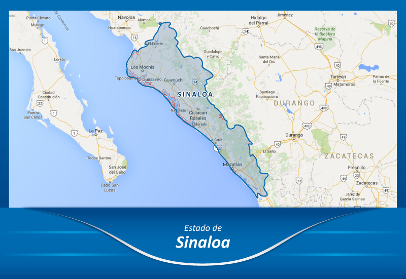 Autotransportes de la Ciudad de México a Sinaloa